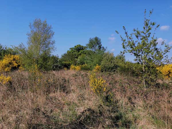 Friches agricoles sur le SCoT du pays de Lorient