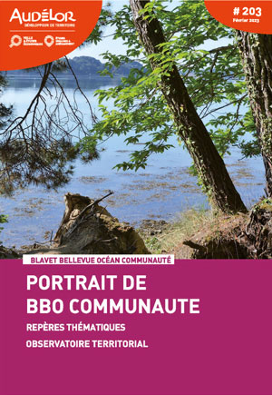 AudéLor - Portrait de Blavet Bellevue Océan Communauté. Repères thématiques. Observatoire territorial